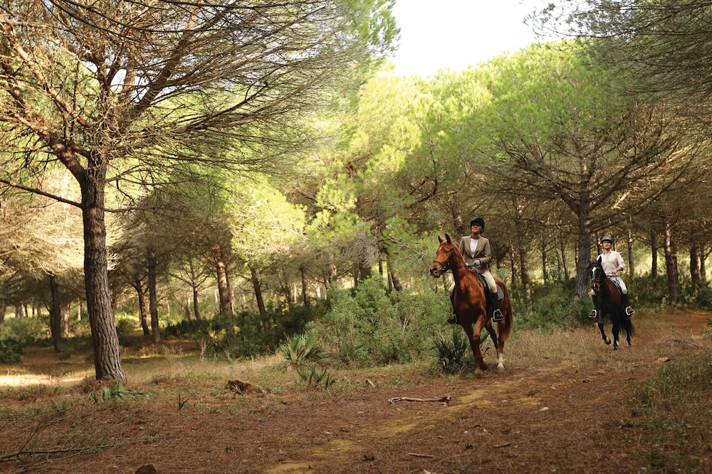 Horseback riding