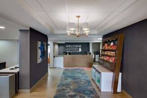thumbnail: Snack bar