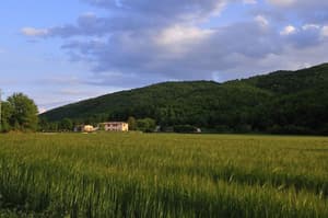 thumbnail: Hiking
