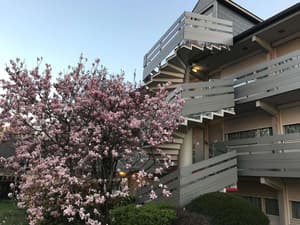 thumbnail: Exterior