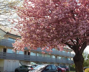 thumbnail: Exterior