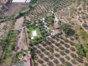 thumbnail: Aerial view