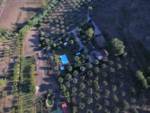 thumbnail: Aerial view