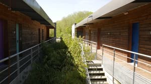 thumbnail: Terrace/patio