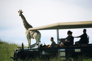 thumbnail: Ecotours