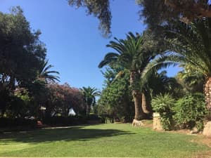 thumbnail: General view
