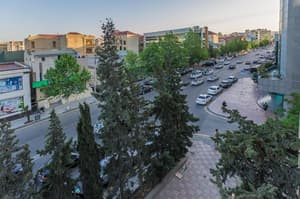 thumbnail: General view