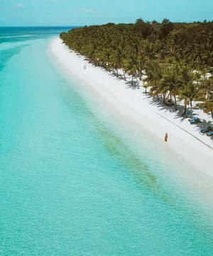 thumbnail: Beach