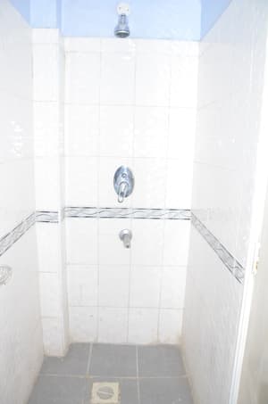 thumbnail: Bathroom shower