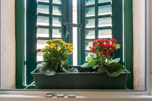 thumbnail: Room amenity