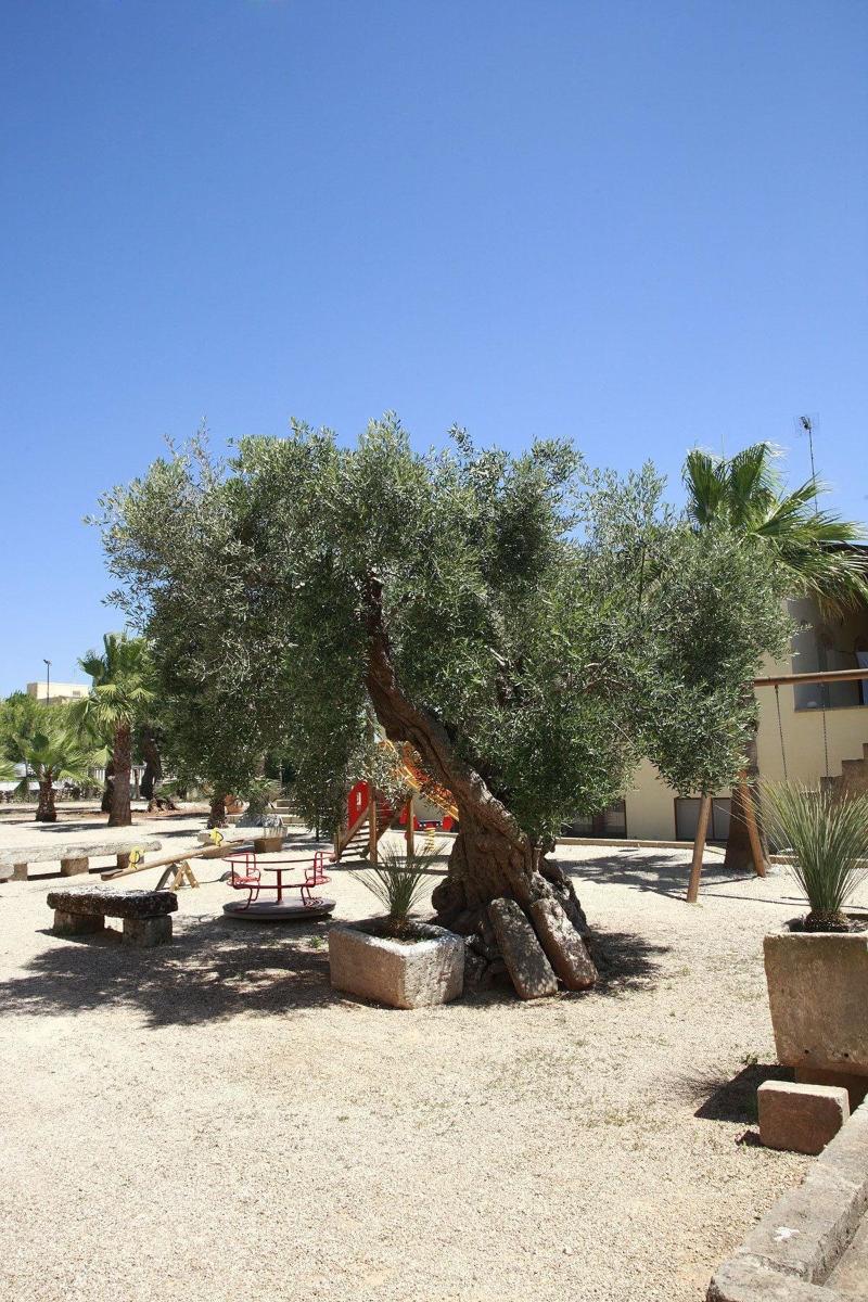 General view
