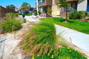 thumbnail: Property grounds