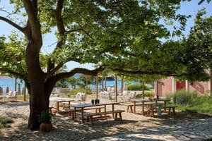 thumbnail: Outdoor dining