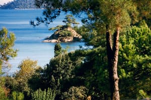 thumbnail: View from property