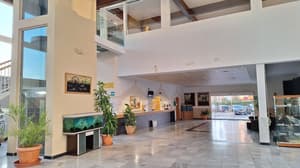 thumbnail: Reception