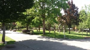 thumbnail: General view