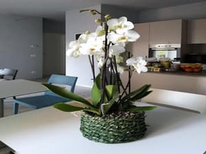 thumbnail: General view