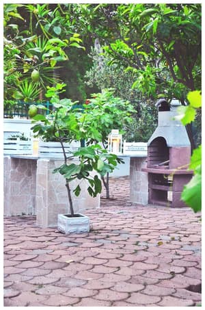 thumbnail: BBQ/picnic area
