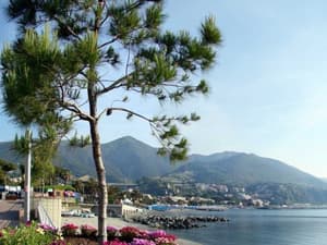 thumbnail: General view
