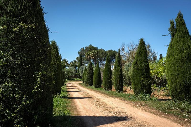 General view