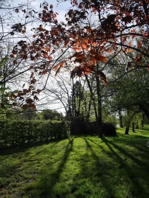 thumbnail: Property grounds