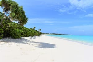 thumbnail: Beach