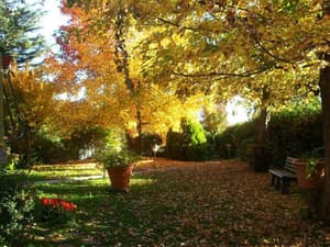 thumbnail: General view