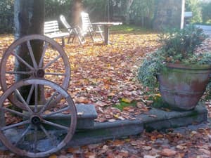 thumbnail: General view