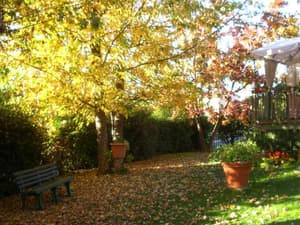 thumbnail: General view