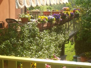 thumbnail: General view