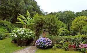thumbnail: Garden