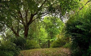thumbnail: Garden