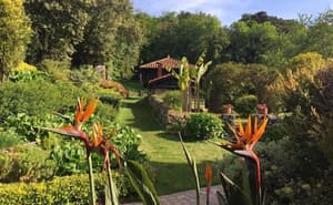 thumbnail: Garden