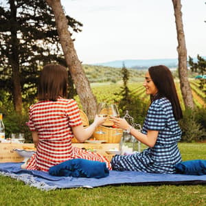 thumbnail: BBQ/picnic area