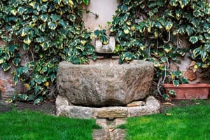 thumbnail: Property grounds