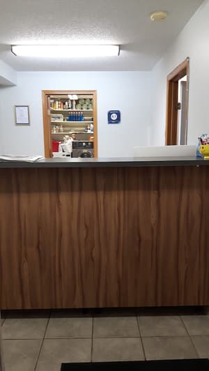 thumbnail: Reception