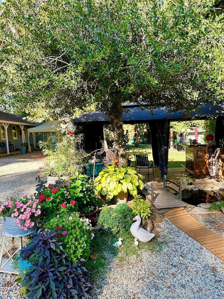 Garden view