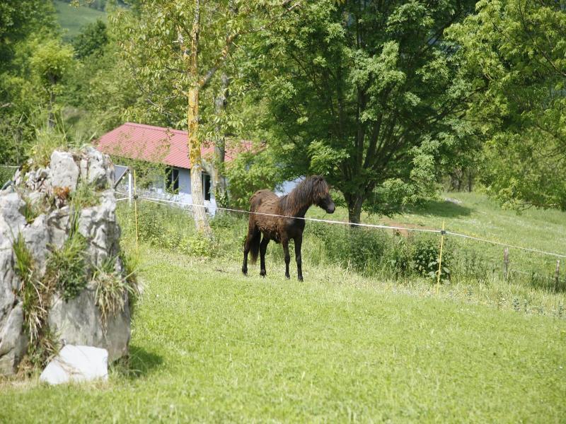 General view