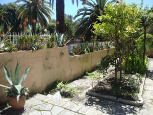 thumbnail: General view