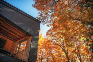thumbnail: Exterior