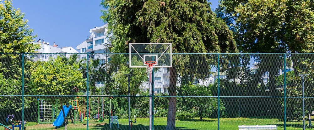 Basketball court
