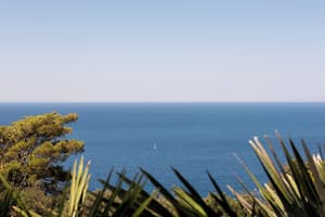 thumbnail: View from property