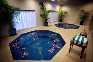 thumbnail: Indoor spa tub