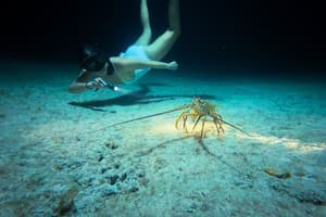 thumbnail: Boating