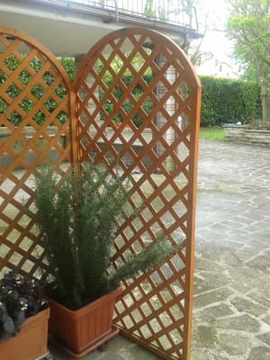 thumbnail: Terrace/patio