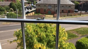 thumbnail: View from room