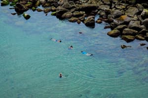 thumbnail: Beach