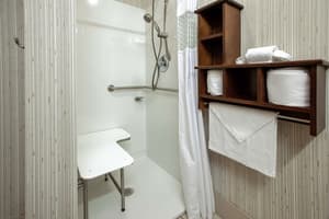 thumbnail: Bathroom shower