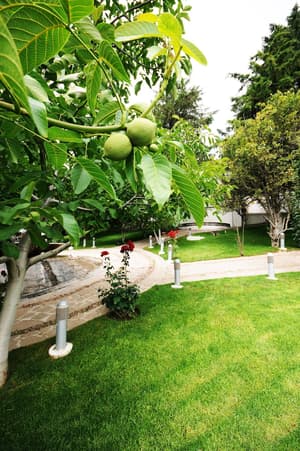 thumbnail: Property grounds