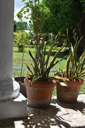 thumbnail: View from property